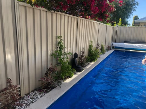 Customer photo review of Fake Ivy Roll 3m x 1m – Instant Artificial Hedge Panel Ivy Roll