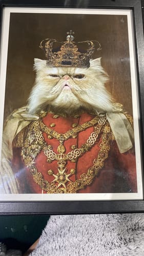 Customer photo review of The Prince - Custom Vintage Pet Portrait