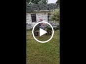 Customer video review of Wallke H6 Step-Thru