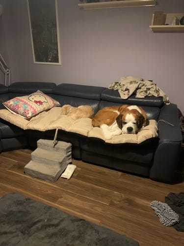 Customer photo review of Tufted Lounger Pad