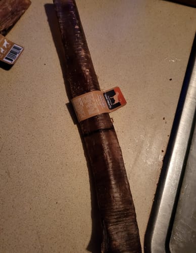 Customer photo review of Crunchy Ostrich Trachea Whole. Light-weight, Natural Dog Chew Treat by Savannah Pet Food