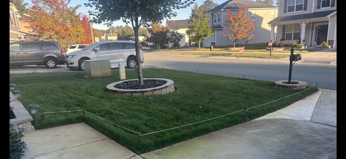 Customer photo review of Protene Performance Fall Fertilizer