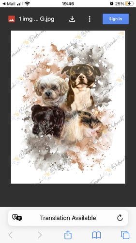 undefined review of Your Dog as Watercolor Portrait image 1 out of 1