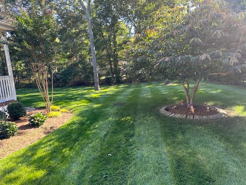 Customer photo review of Mesotrione MESO 4SC Select Herbicide (Tenacity)