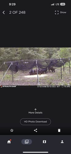 Customer photo review of Pig Brig Trap System