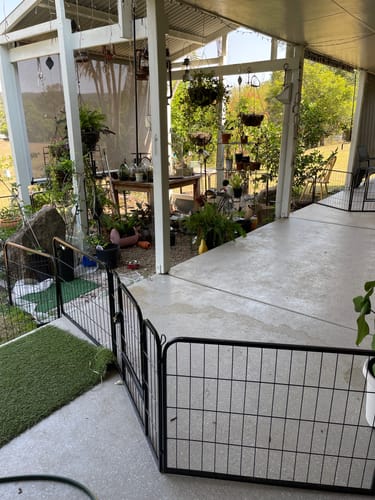 Customer photo review of PaWz 8 Panel Pet Dog Playpen