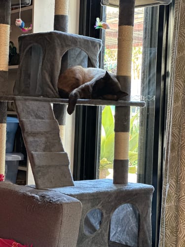 Customer photo review of Pawz Cat Scratcher Multi Level