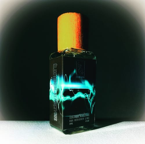 Customer photo review of Électrique Rendezvous