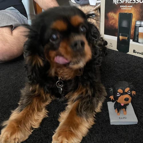 Customer photo review of Fully Customizable One Pet Sculpture Custom Dog Statue