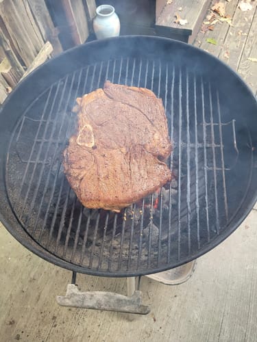 Customer photo review of Quarter Cow (Deposit)