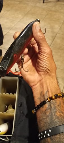 Customer photo review of THE LEADER – “SIMPLE MAN”