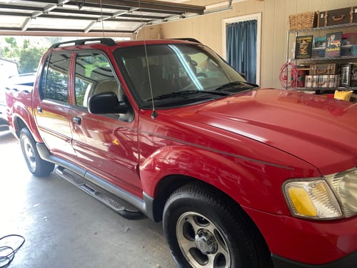 Customer photo review of Trim Serum - Trim Restorer