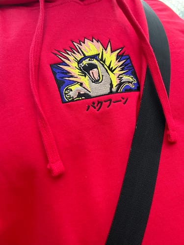 Customer photo review of Typhlosion Embroidered Hoodie