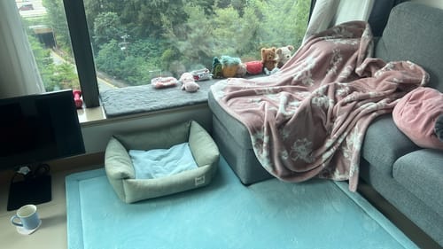 Customer photo review of Momomi® Mat (Turquoise)