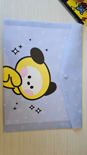 Customer photo review of BT21 Minini PP File Pocket