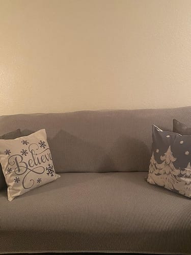Customer photo review of Sofa Covers With Non-removable Cushions
