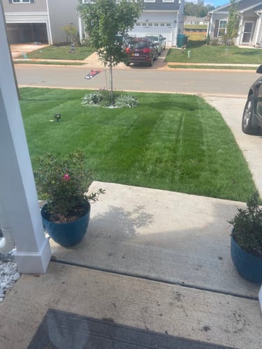 Customer photo review of Cool Season Lawn Care Guide