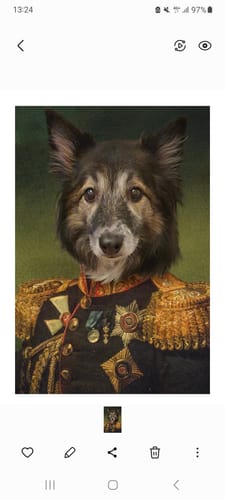 Customer photo review of The General - Custom Vintage Pet Portrait