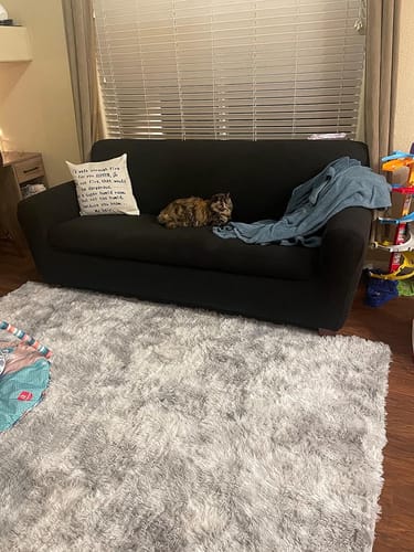 Customer photo review of Sofa Covers With Non-removable Cushions