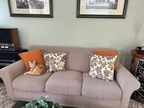 Customer photo review of Sofa Covers With Separate Seat Cushions