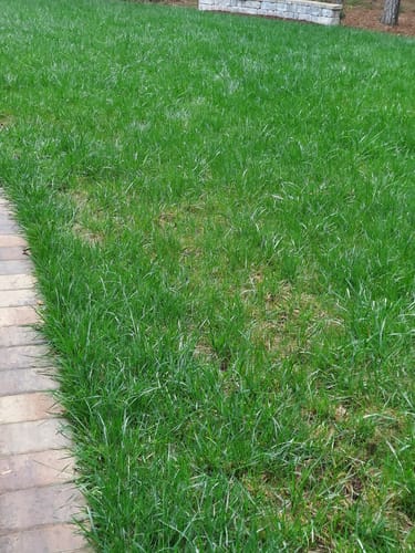 Customer photo review of Mini-B Pack w/ One Free Hose End