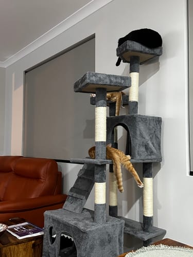 Customer photo review of Pawz Cat Scratcher Multi Level