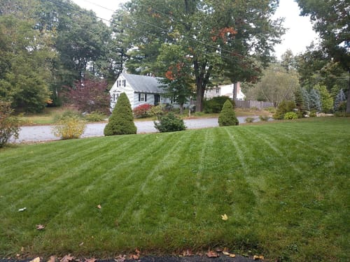 Customer photo review of Protene Performance Summer Fertilizer