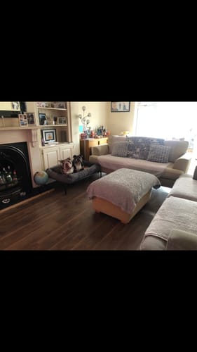 Customer photo review of 35% OFF Large Ex Demo Bed