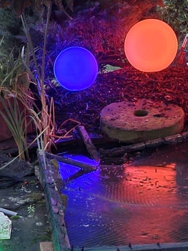 Customer photo review of Smarte Outdoor LED-Leuchtkugel Calluna, 40 cm, white