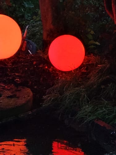 Customer photo review of Smarte LED-Leuchtkugel Calluna, 35 cm, white