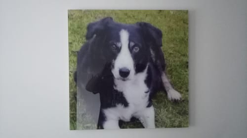 Customer photo review of "60x60" Custom Design Glass Wall Art