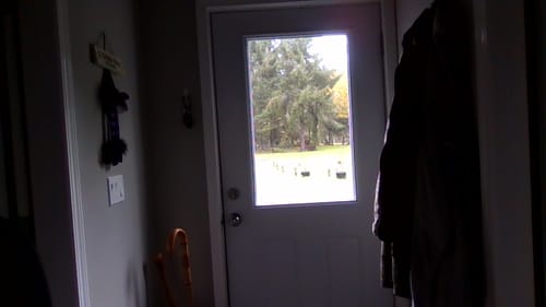 Customer photo review of Clear 1 Lite Glass and Frame Kit (Half Lite)