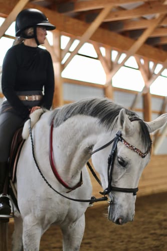 Customer photo review of Aurora browband