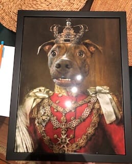 Customer photo review of The Prince - Custom Vintage Pet Portrait