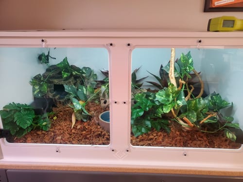 Customer photo review of XT3 36Lx24Dx18H - STACKABLE