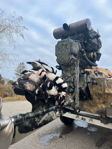 Customer photo review of Hunting Blind Raffia Grass (Pack)