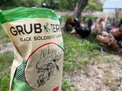 Customer photo review of GrubTerra Dried Larvae