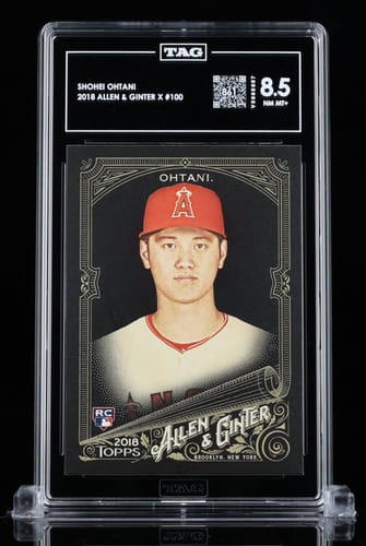 Customer photo review of Grading - Economy (30 Day Turnaround)