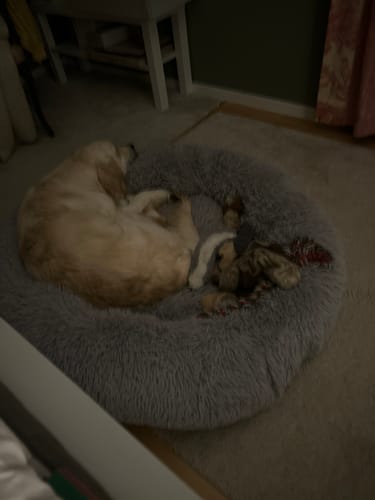 Customer photo review of CalmBed överdrag