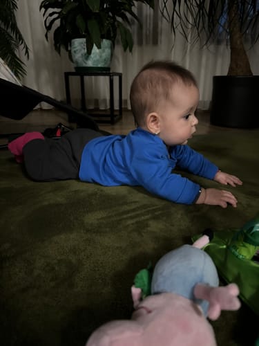 Customer photo review of Forest Green