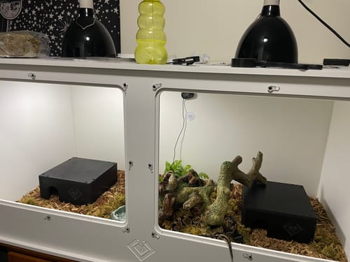 Customer photo review of XT4 BIO (48Lx24Dx24H) - STACKABLE