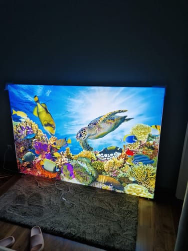 Customer photo review of Canvalight® Leuchtbild | Wald mit Sonnenstrahlen | Querformat