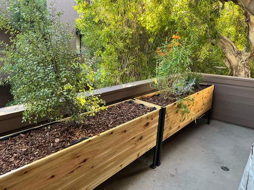 Customer photo review of 18" x 60" Raised Garden Bed