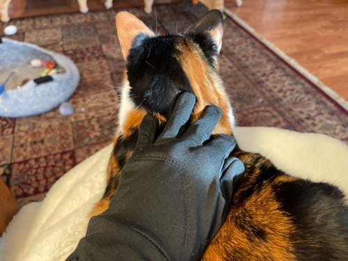 Customer photo review of Toasty Touch® Ultra Thin Heated Gloves