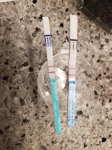 Customer photo review of Ovulation Test Strips