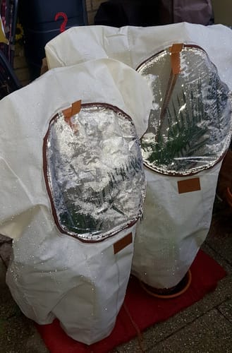 Customer photo review of Winterschutz für Kübelpflanzen mit Fenster XL H 100 x B 80 cm Ø 51 cm