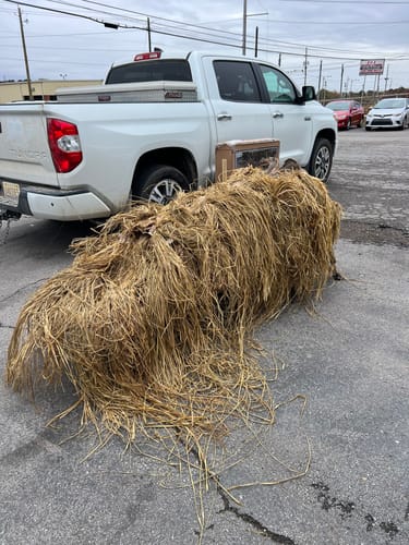 Customer photo review of Hunting Blind Raffia Grass (Individual)