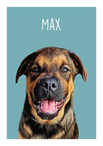 Customer photo review of Classic - Custom Pet Portrait