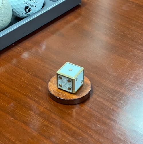 Customer photo review of Kraken Dice Marker - White Leather