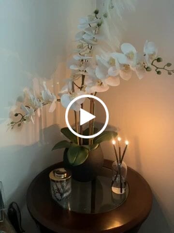 Customer video review of Jervis Collection